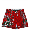 Momentum Classic Shorts Azteco