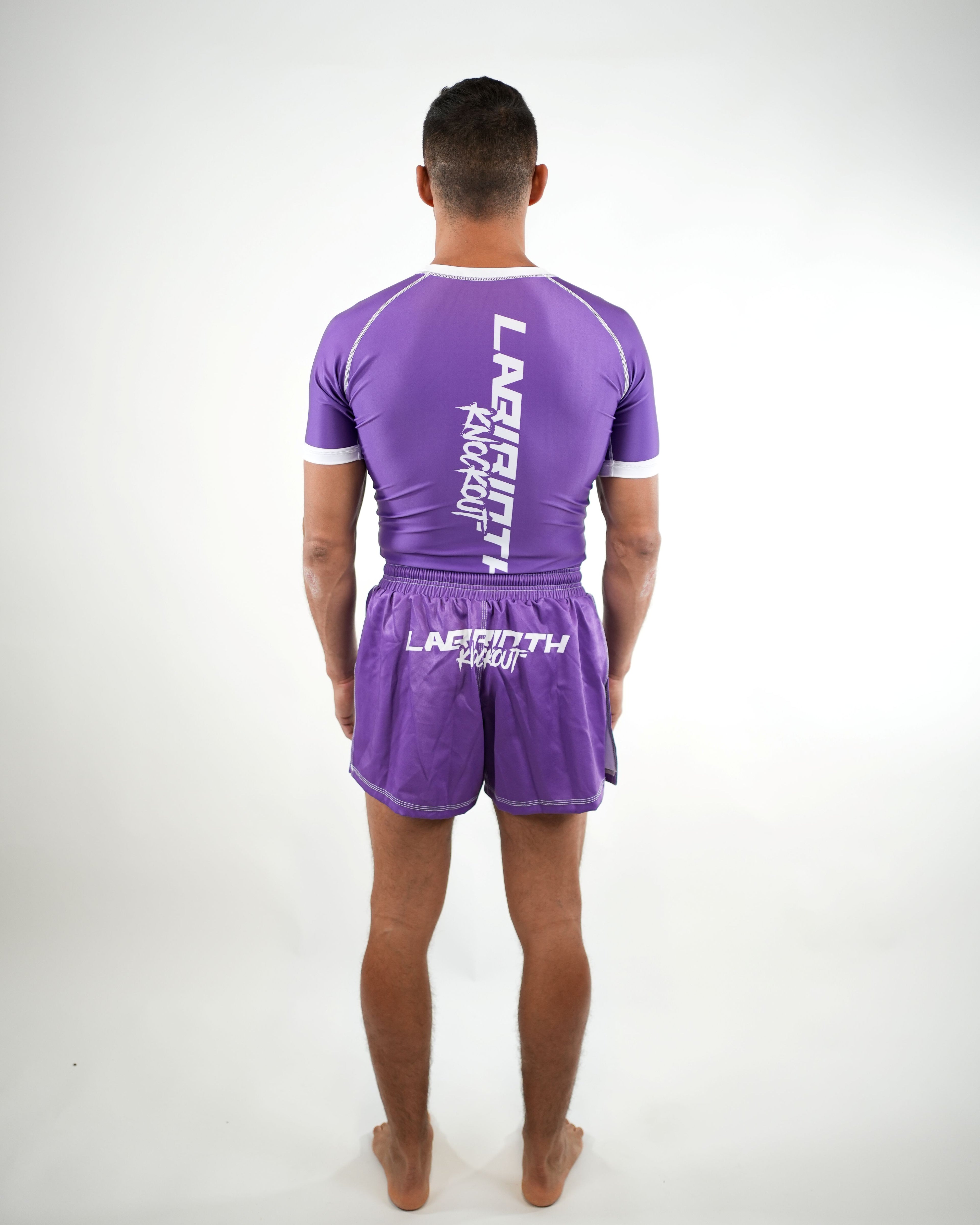 Momentum Completo Purple
